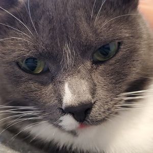 Meet your Posher, Tami